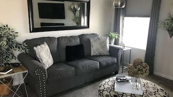 Smart TV, fireplace, books, video library