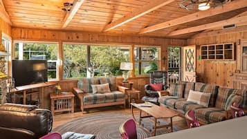 Smart TV, chimenea y libros