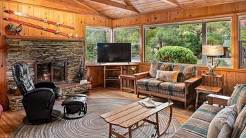 Smart TV, chimenea y libros