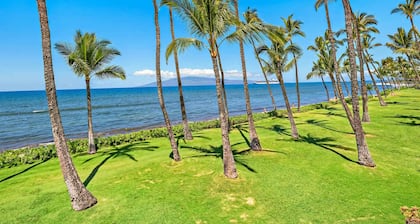 Premium Ocean Front: Gated w/ Pool & In-Unit Gym