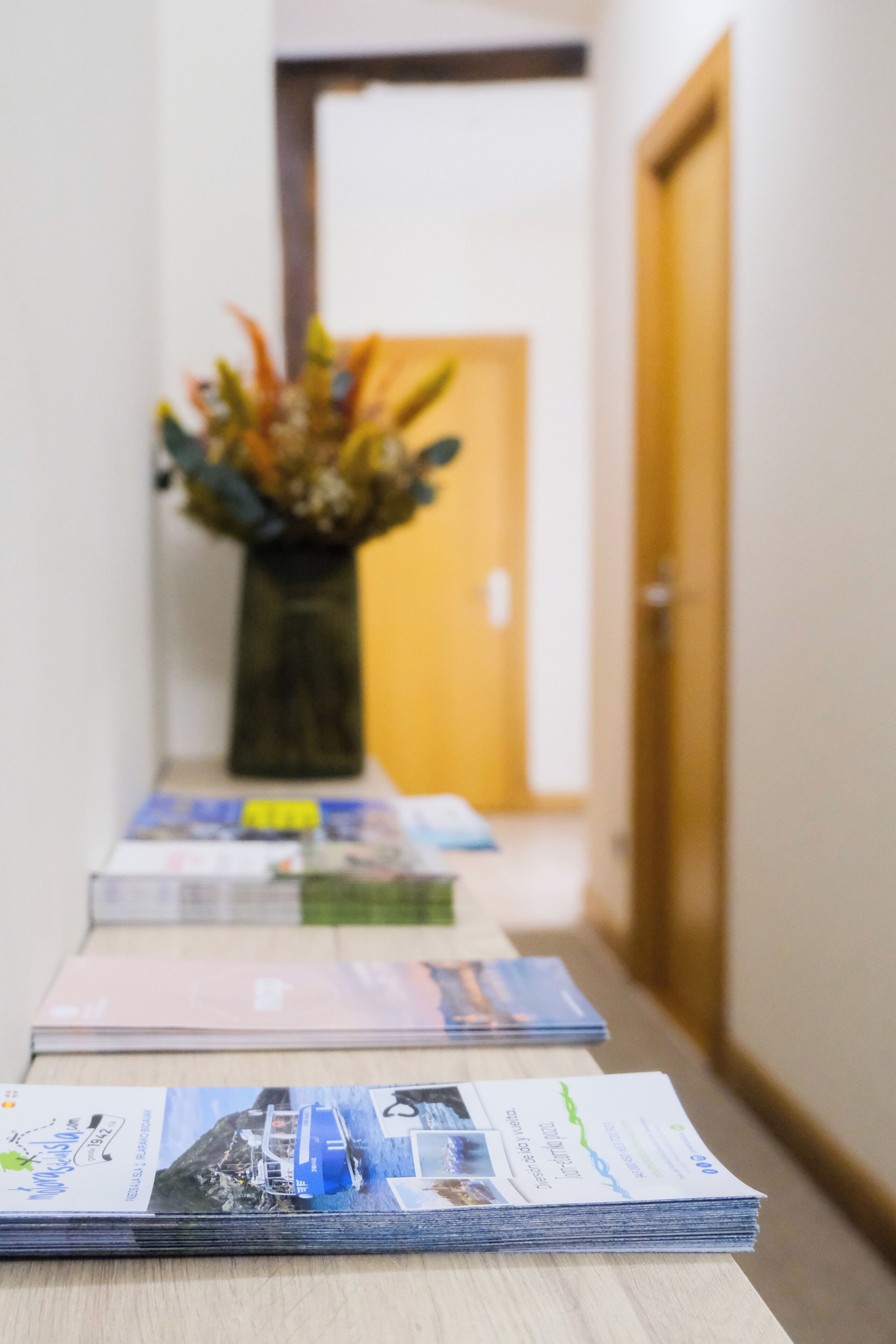 Foto - Pensión Artea