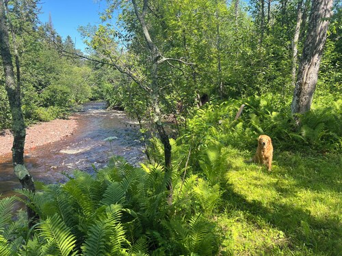 LESTER RIVER PINES Home • Privacy • Sauna • Pond • River • Dog Friendly