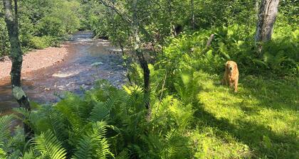 LESTER RIVER PINES Home âą Privacy âą Sauna âą Pond âą River âą Dog Friendly