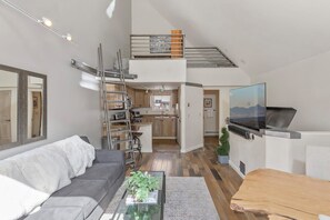 Living area - Remodeled Luxury Condo - Open for Bluegrass (Telluride)