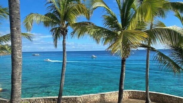 A coastal view with palm trees and a clear blue sea. - Oceanfront, 4 balcony condo: Stunning Sunsets (Sint Maarten)