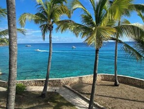 A coastal view with palm trees and a clear blue sea. - Oceanfront, 4 balcony condo: Stunning Sunsets (Sint Maarten)