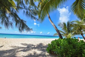 Una spiaggia con acque cristalline turchesi, palme e una riva sabbiosa.