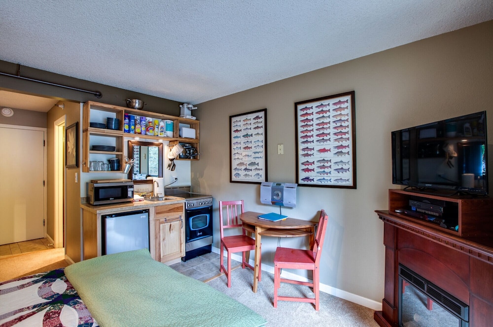 Mt. Baker Lodging Condo 37 Sleeps 2! Glacier Vrbo