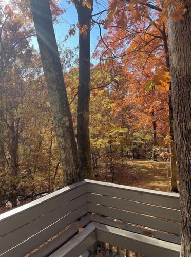Cozy Cabins in the woods.
