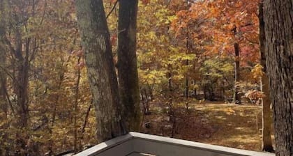 Cozy Cabins in the woods.