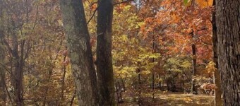 Cozy Cabins in the woods.