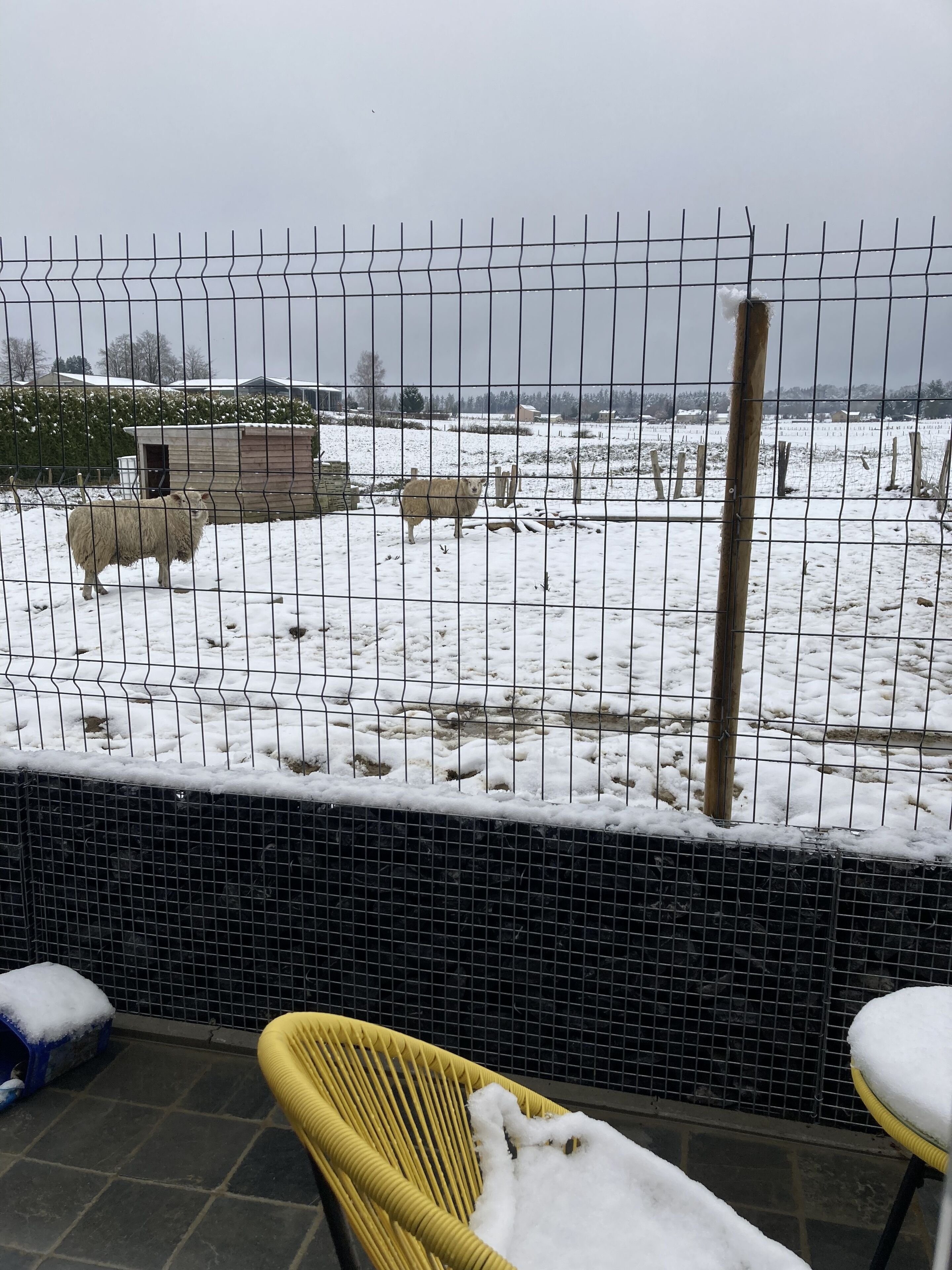 Ett snötäckt utomhusområde med ett inhägnat område, en gul stol och en liten byggnad.