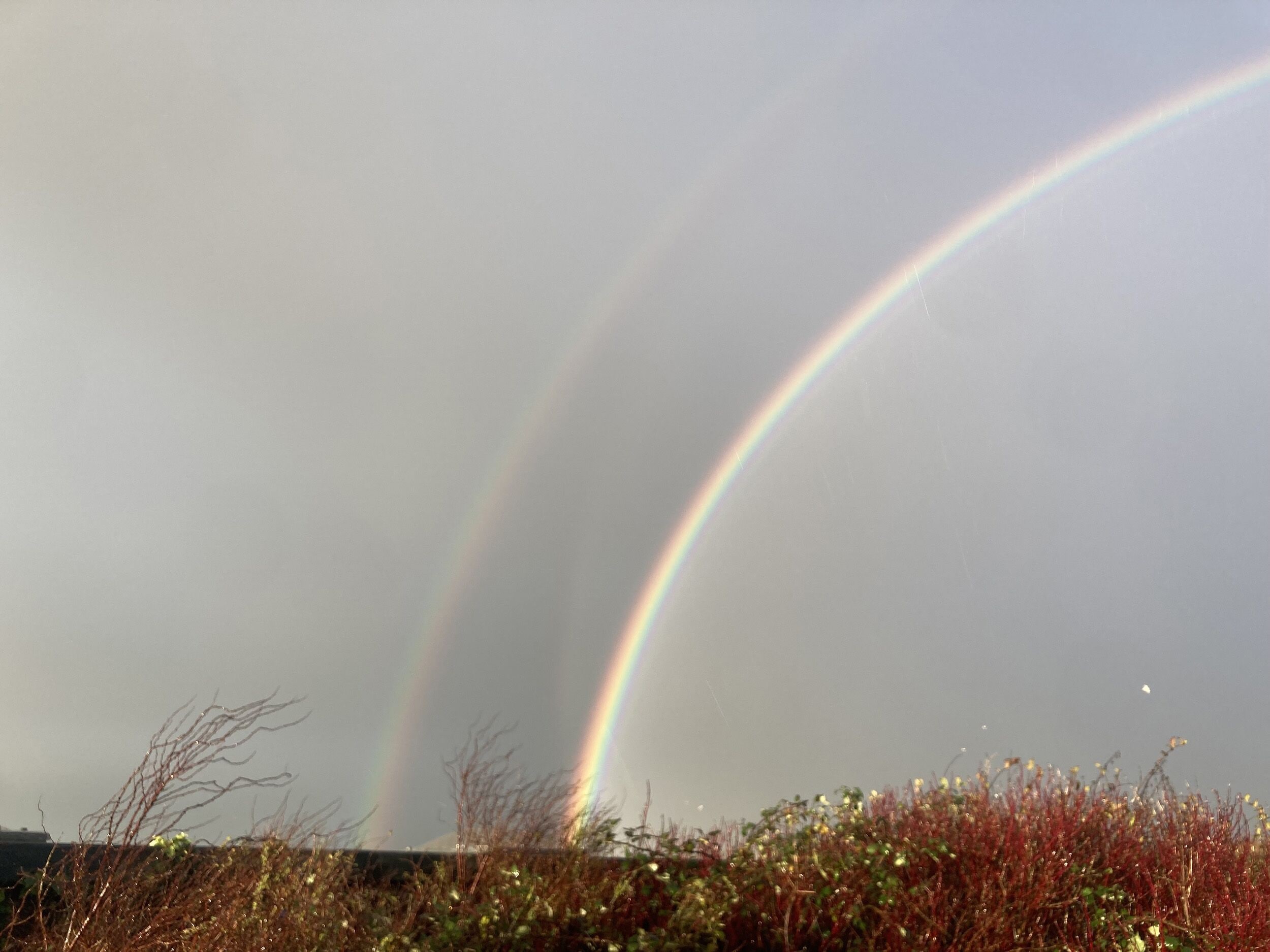 A landscape with a rainbow arching across the sky.