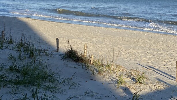 A beach with sand and sparse grass, a wooden fence, and the ocean in the background. - 4 BR, 3 bath Cherry Grove Retreat near CG Pier, Private Pool, 1 block to beach (North Myrtle Beach)