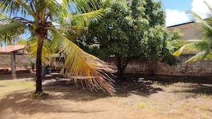 A courtyard with palm trees, a stone wall, and a building with a red roof. - CASA DE PRAIA NA LINDA MARAGOGI (Maragogi)
