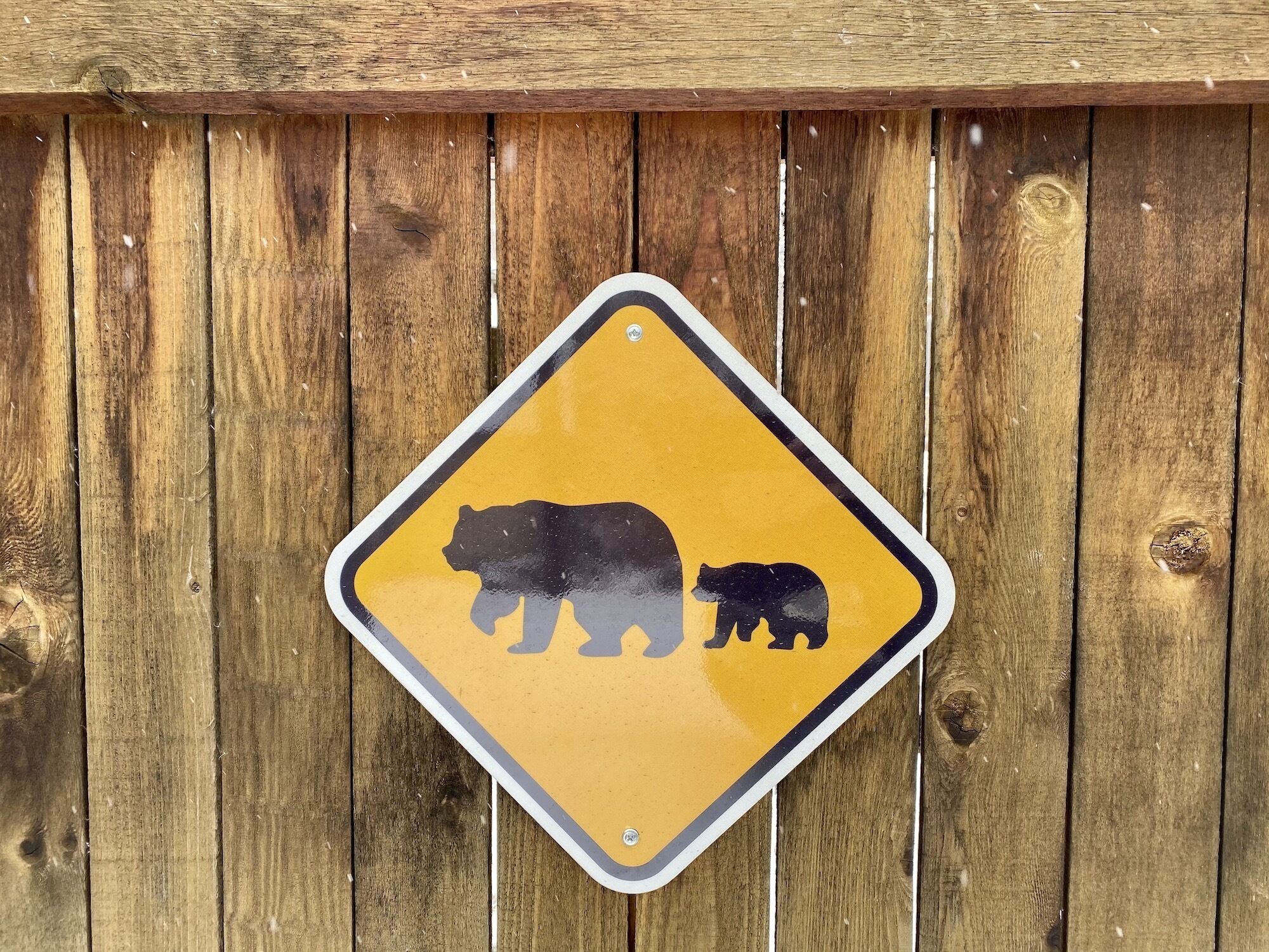 A yellow warning sign with a bear silhouette on a wooden fence.