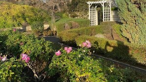 Unclassified image, 4 of 27, button - Luxury Stay in San Diego. 5BR/3BA with Mountain views and hot tub (Escondido)