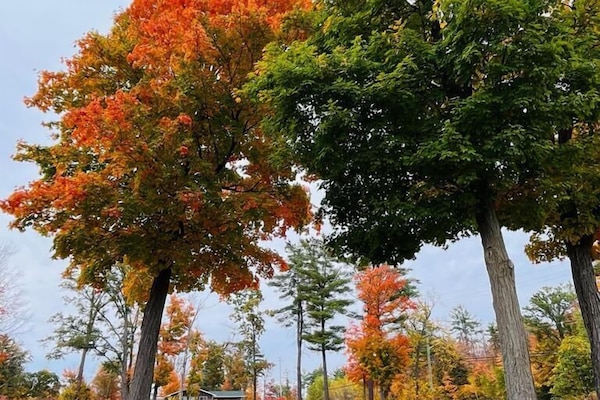 Fachada del alojamiento