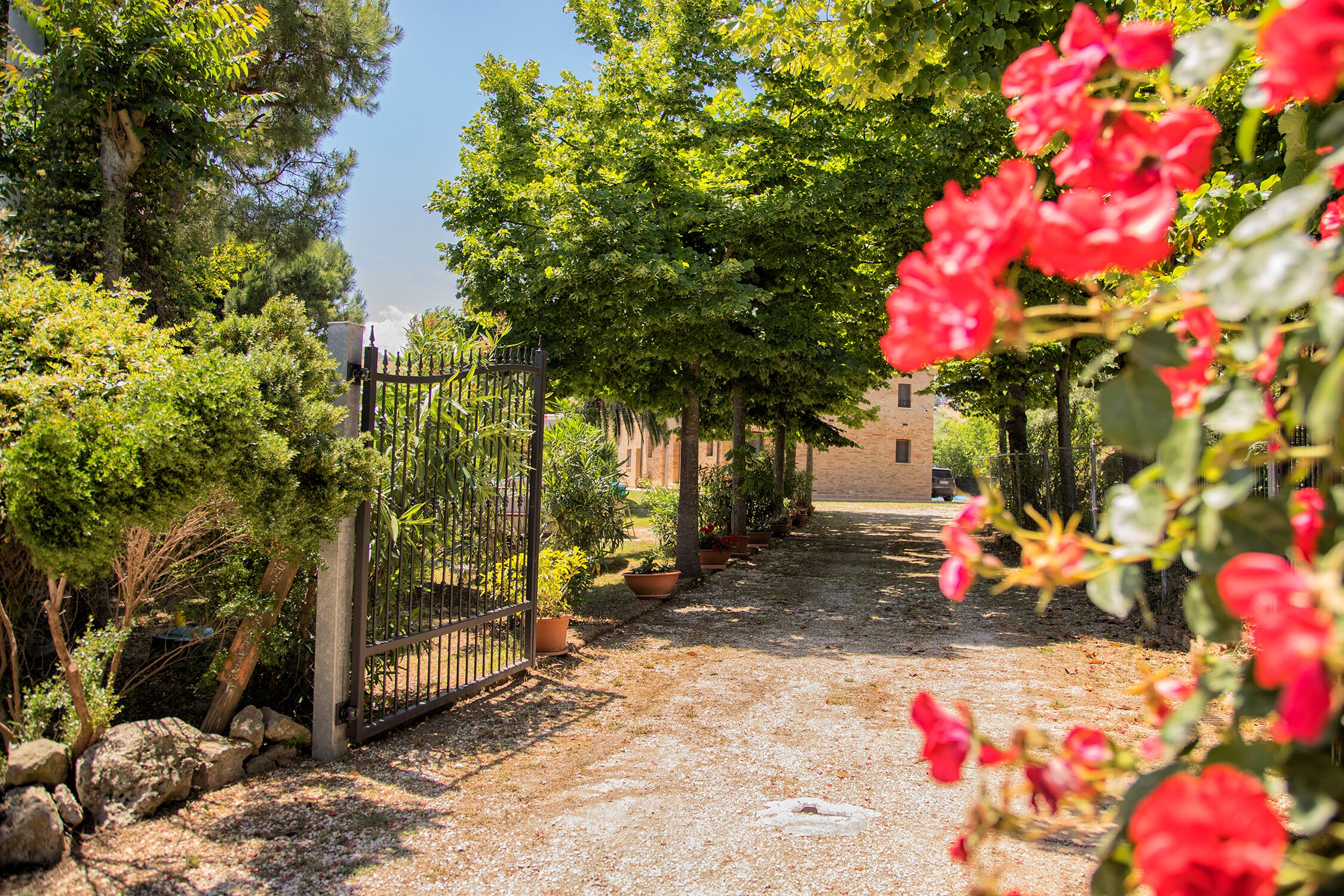 Overnattingsstedets uteområder