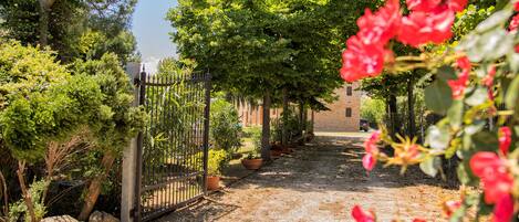 Overnattingsstedets uteområder