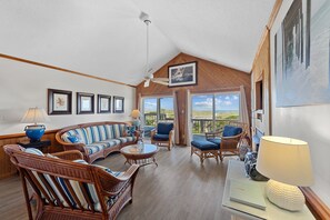 Smart TV, fireplace, books, stereo