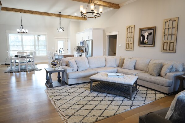 Smart TV, fireplace, books, video library