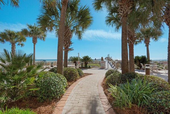 A paved pathway flanked by palm trees and greenery, leading to a gated area with outdoor seating.