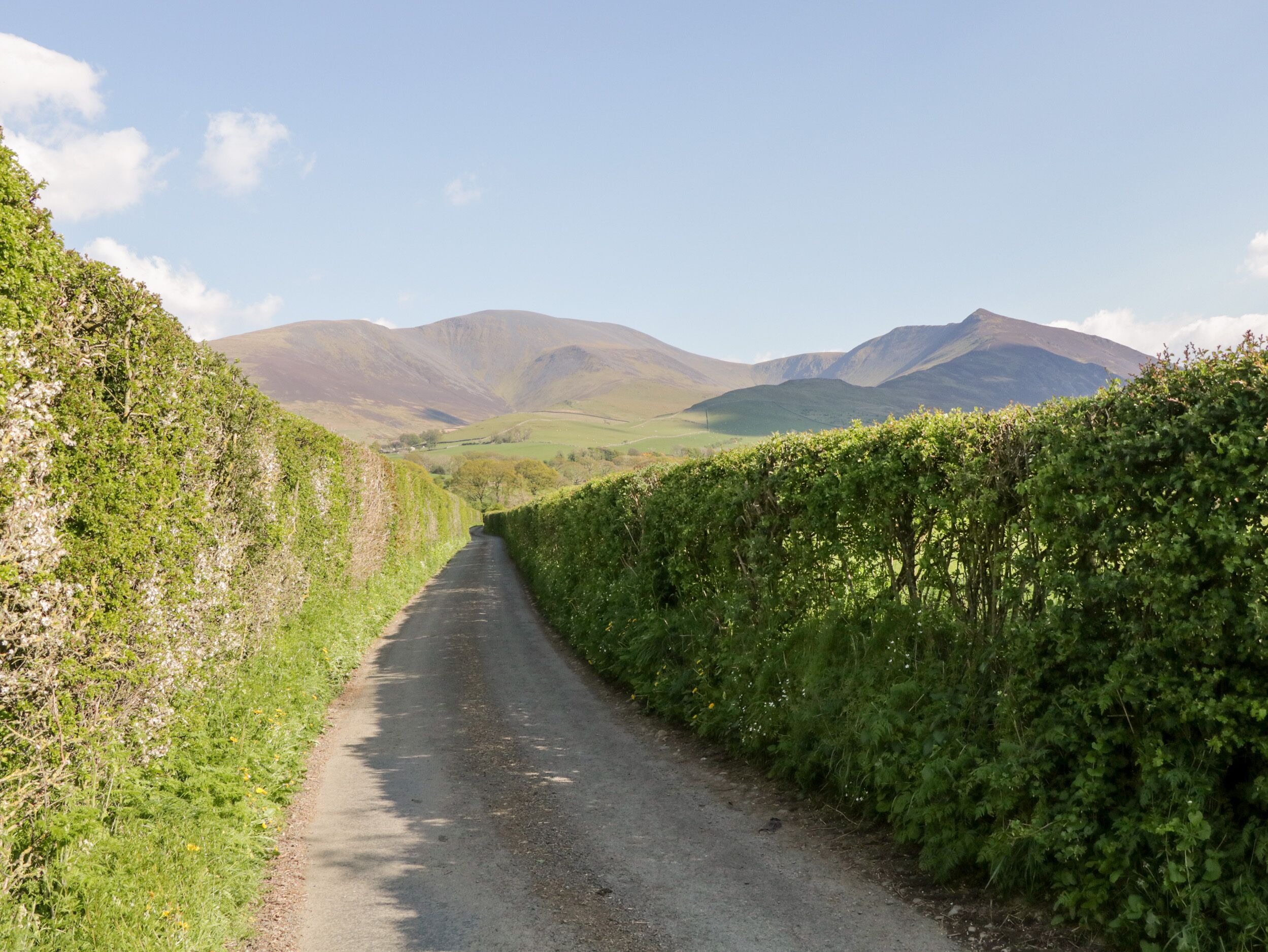 A narrow, rural road flanked by lush green hedges and mountains in the distance.