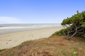 Beach - Arch Capella - Oceanfront! (Arch Cape)