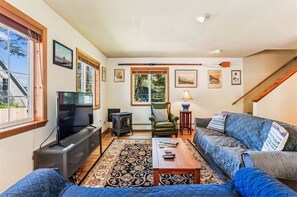 TV, fireplace, books