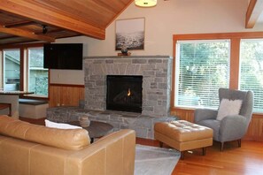 Smart TV, fireplace, books