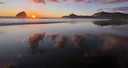 Sitka Farmhouse - Coastal 3 acres, natural pond, forest, 2 miles to beaches