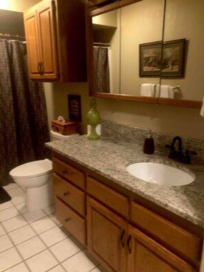 Bathtub, hair dryer, towels