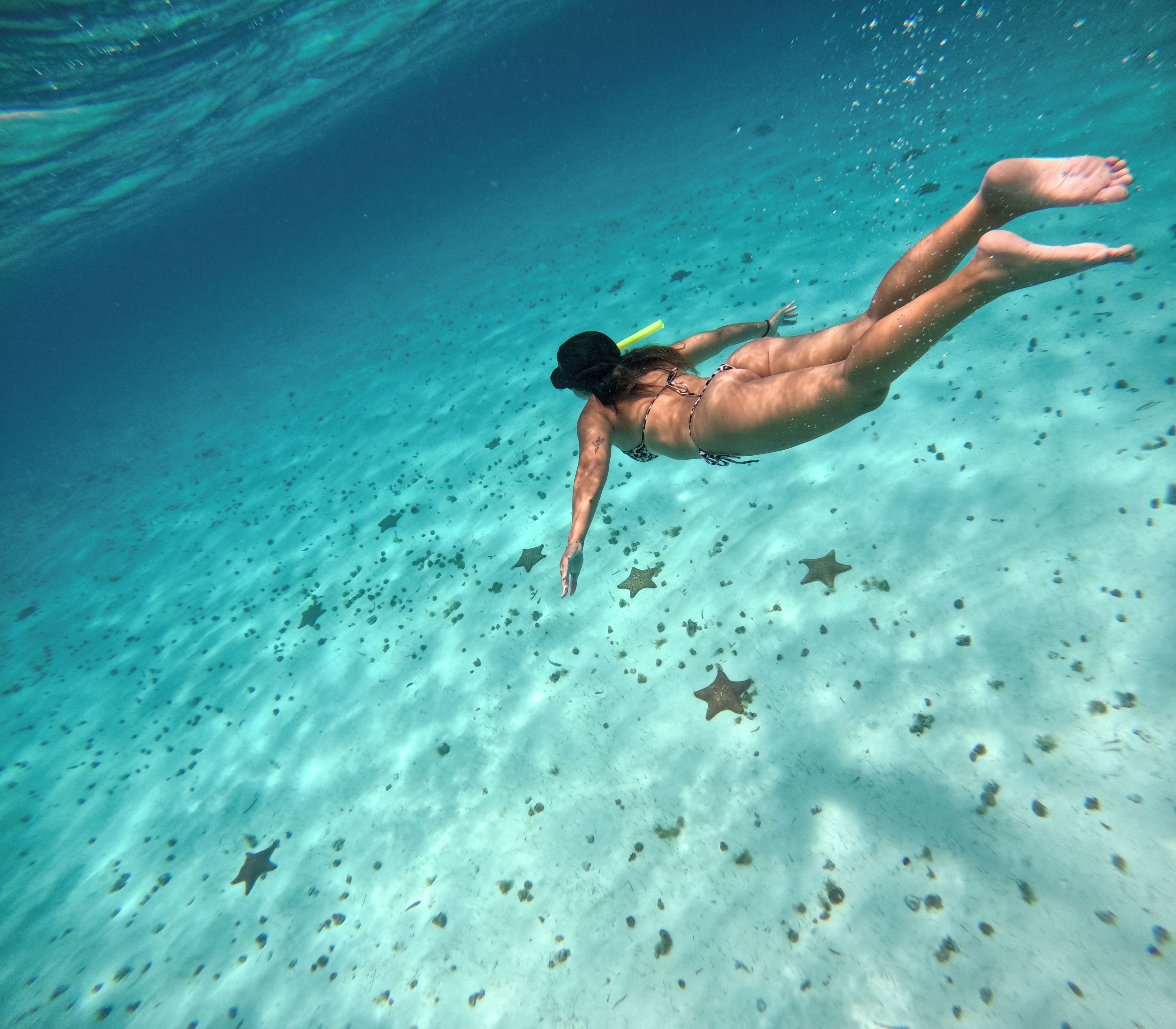 Foto - Illa Cozumel