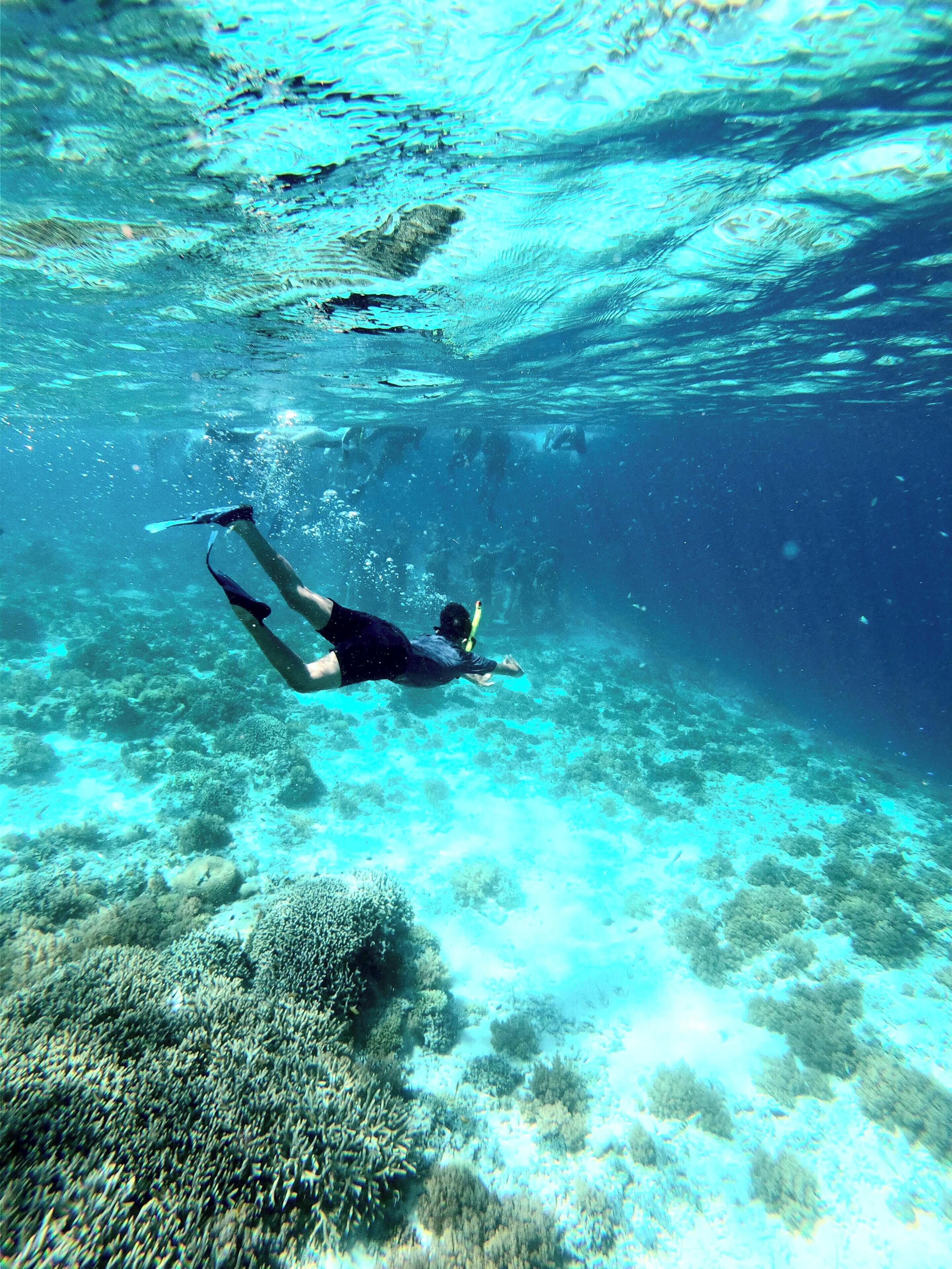 Foto - Illa Cozumel