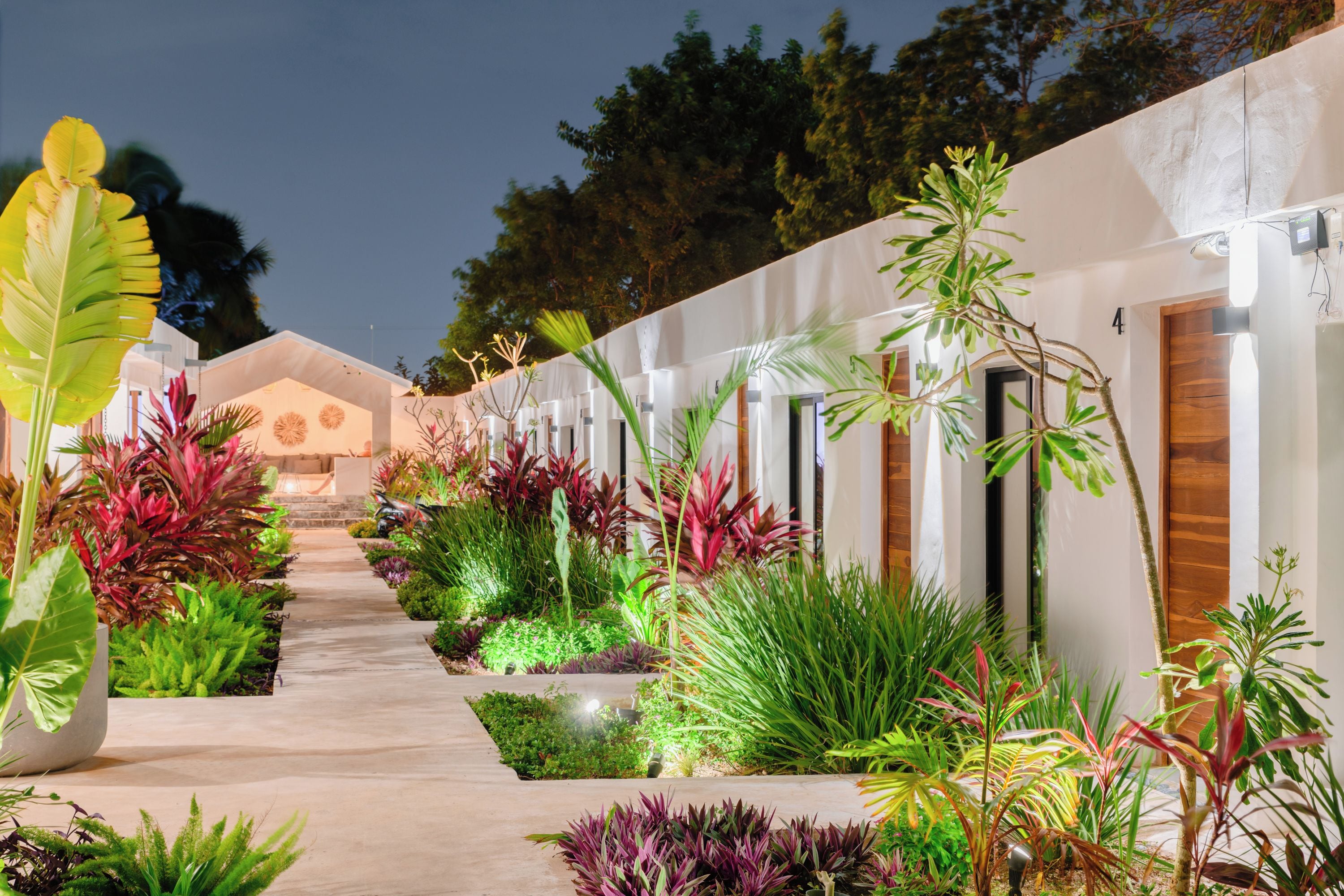 A pathway leading to a building with multiple doors, surrounded by lush greenery and various plants.