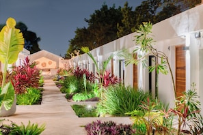 A pathway leading to a building with multiple doors, surrounded by lush greenery and various plants. - Illa Cozumel (Cozumel)