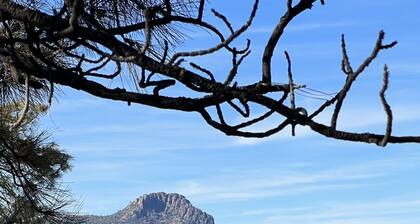 Beautiful Views from this 3-bed, 2-bath home in the pines - 10 min to Prescott