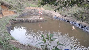 Ćreas de la propiedad