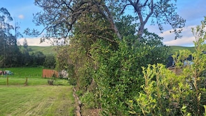 Un jardín bien cuidado con una variedad de plantas y una cerca de madera.
