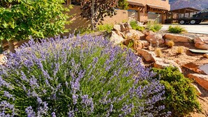 A building with a patio area, surrounded by a garden with lavender plants and a view of mountains.