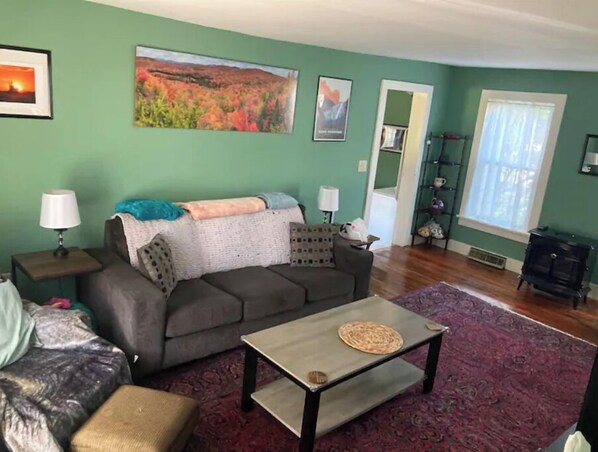 Smart TV, fireplace, DVD player, books