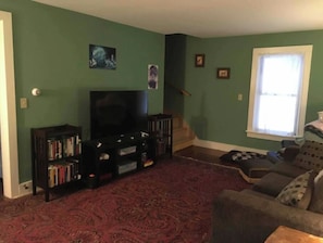 Smart TV, fireplace, DVD player, books