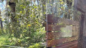 En hörna i ett rum med ett fönster som vetter mot en skog, en grön filt och en öppen bok.