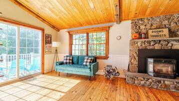 TV connectée, cheminée, livres