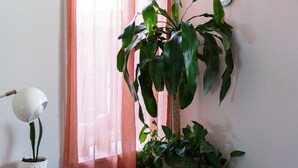 3 bedrooms, iron/ironing board, WiFi, bed sheets - Casita Rael in Historic OldTown (Albuquerque)