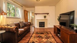 A living room with a leather sofa, a TV, a fireplace, and a patterned rug.