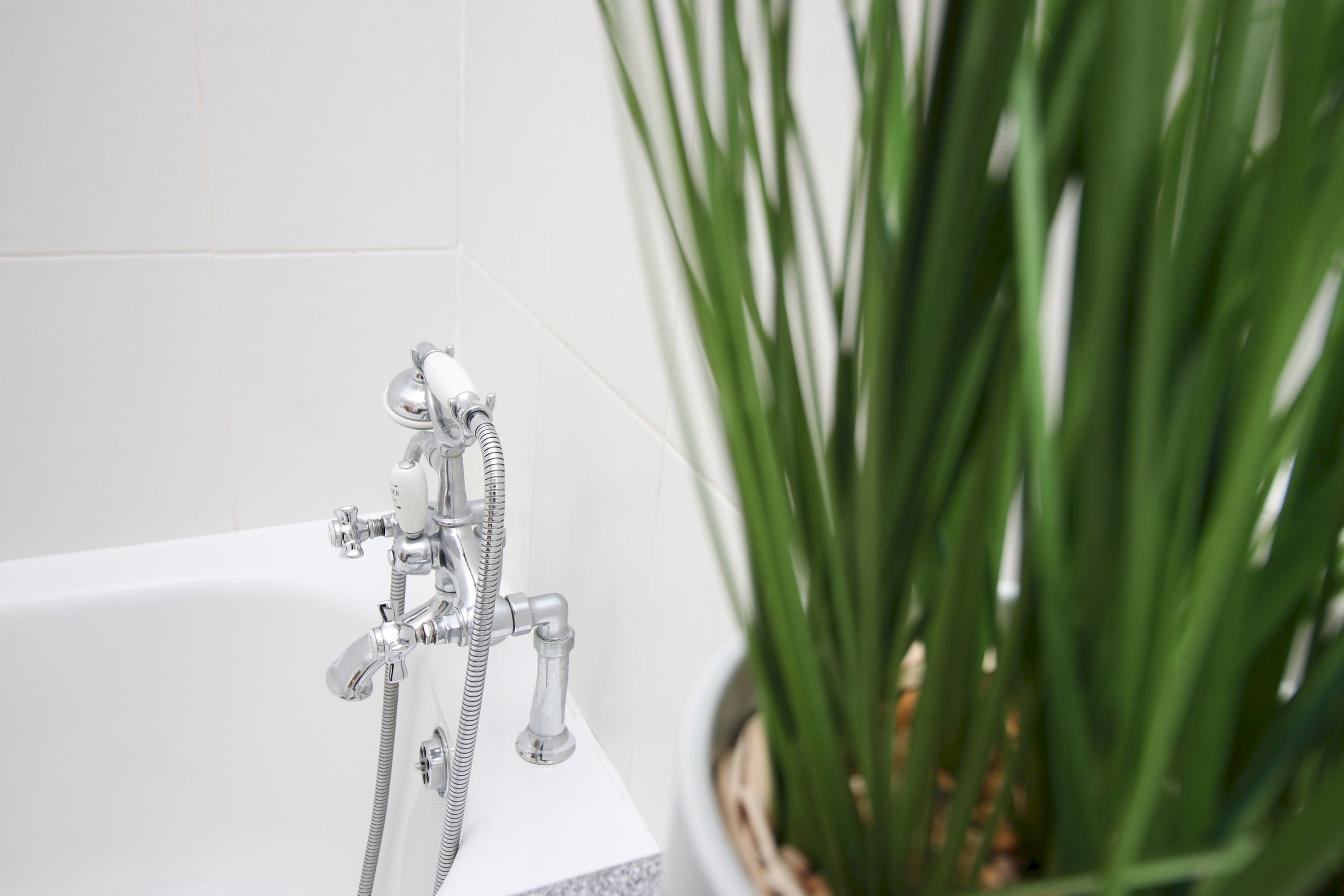 Een badkamer met een bad, een douchekop en een plant.