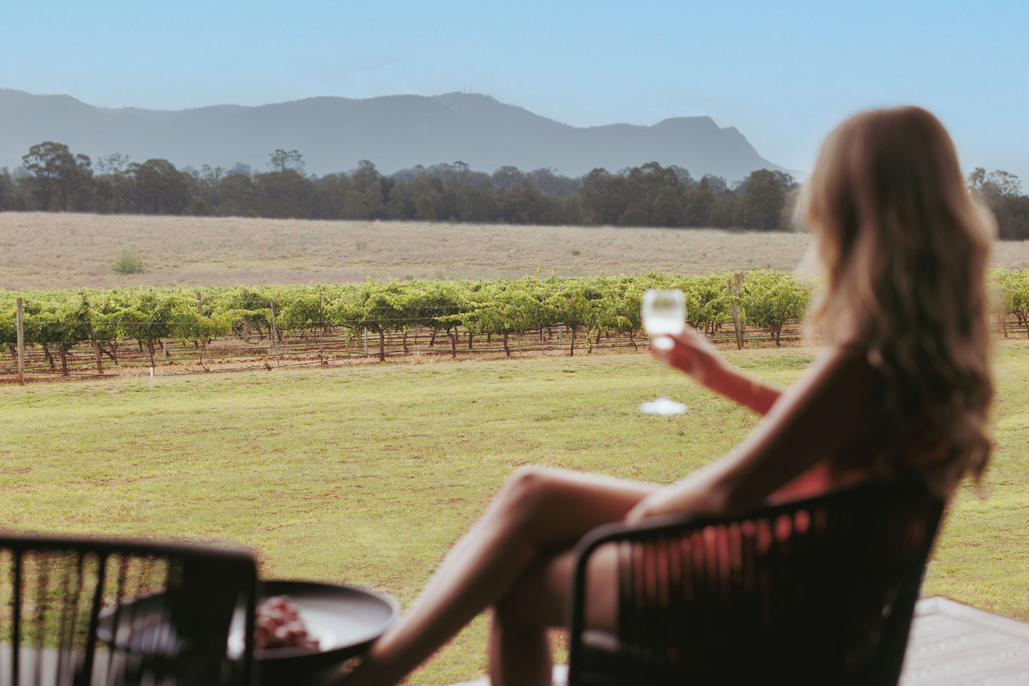 A person seated at a table with a view of a vineyard and distant mountains.