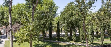 Parco della struttura